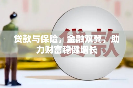 武清贷款与保险，金融双翼，助力财富稳健增长