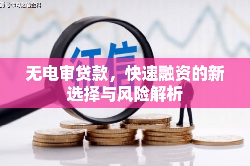 武清无电审贷款，快速融资的新选择与风险解析