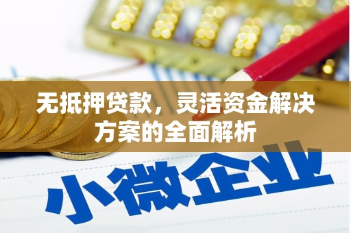 武清无抵押贷款，灵活资金解决方案的全面解析
