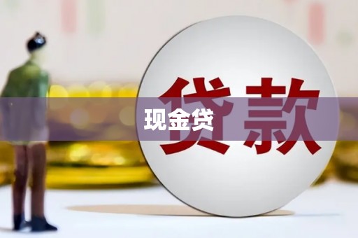 武清现金贷