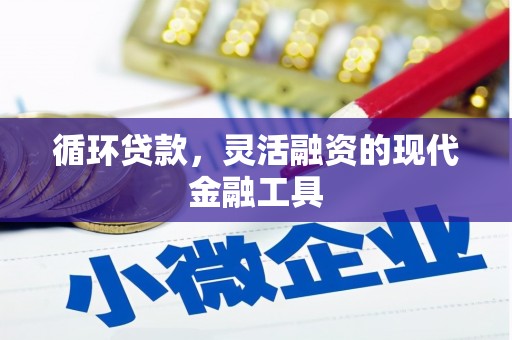 武清循环贷款，灵活融资的现代金融工具