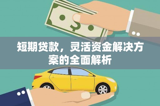 武清短期贷款，灵活资金解决方案的全面解析