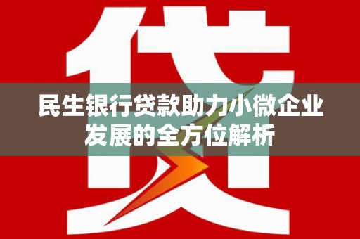 武清民生银行贷款助力小微企业发展的全方位解析