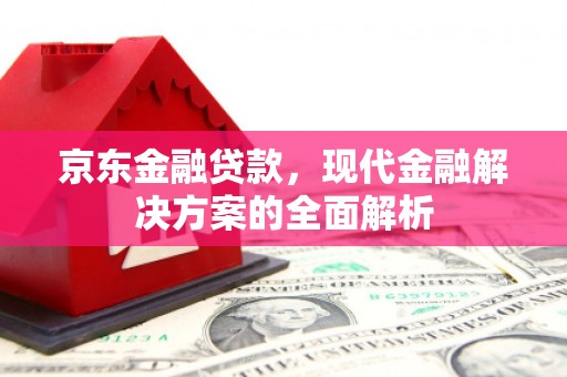 武清京东金融贷款，现代金融解决方案的全面解析