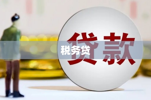 武清税务贷