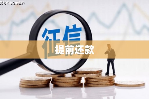 武清提前还款