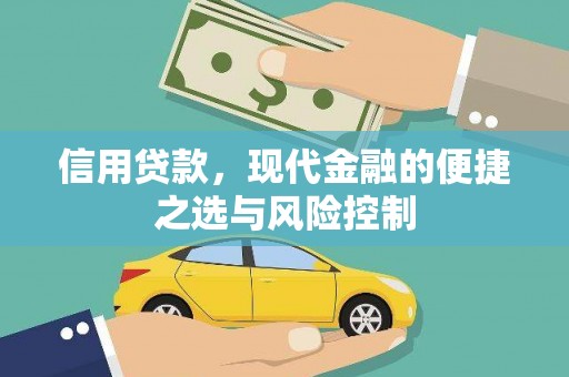 武清信用贷款，现代金融的便捷之选与风险控制