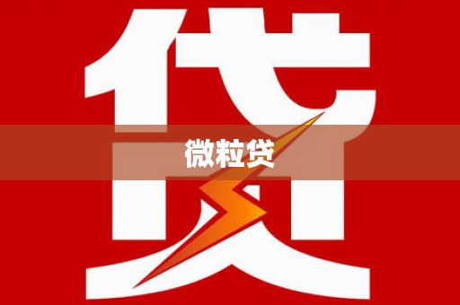 武清微粒贷