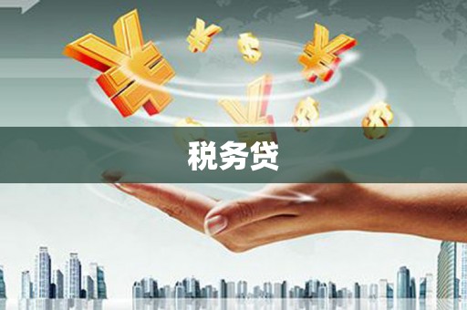 武清税务贷