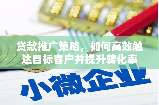 武清贷款推广策略，如何高效触达目标客户并提升转化率
