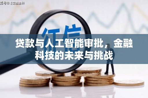 武清贷款与人工智能审批，金融科技的未来与挑战