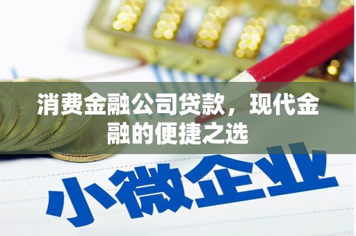 武清消费金融公司贷款，现代金融的便捷之选