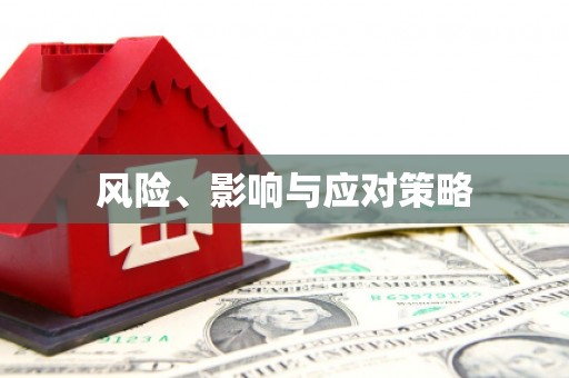 武清风险、影响与应对策略