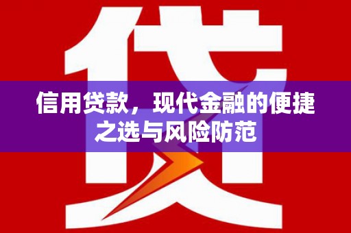 武清信用贷款，现代金融的便捷之选与风险防范