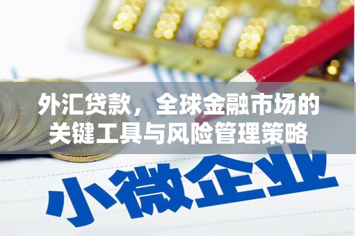 武清外汇贷款，全球金融市场的关键工具与风险管理策略