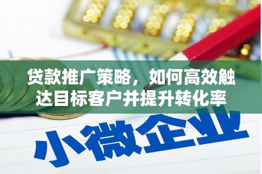 武清贷款推广策略，如何高效触达目标客户并提升转化率