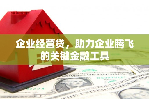 武清企业经营贷，助力企业腾飞的关键金融工具