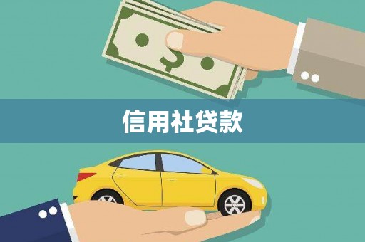 武清信用社贷款