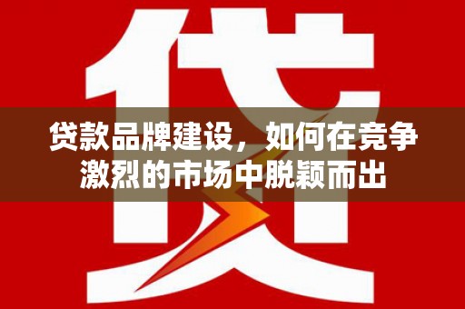 武清贷款品牌建设，如何在竞争激烈的市场中脱颖而出