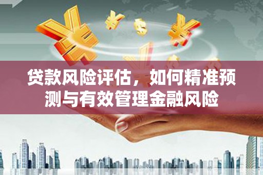 武清贷款风险评估，如何精准预测与有效管理金融风险
