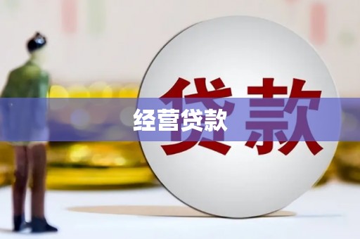 武清经营贷款