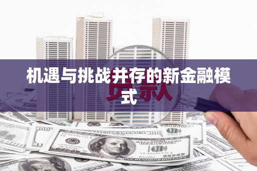 武清机遇与挑战并存的新金融模式