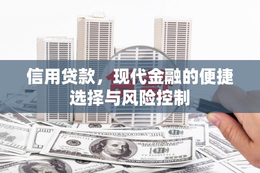 武清信用贷款，现代金融的便捷选择与风险控制