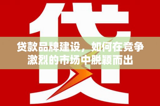 武清贷款品牌建设，如何在竞争激烈的市场中脱颖而出