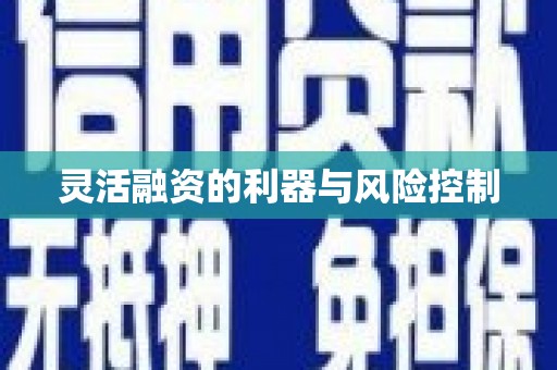 武清灵活融资的利器与风险控制
