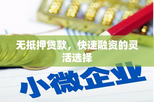 武清无抵押贷款，快速融资的灵活选择