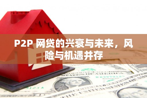 武清P2P 网贷的兴衰与未来，风险与机遇并存
