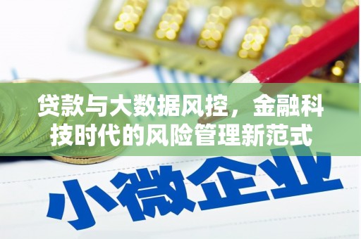 武清贷款与大数据风控，金融科技时代的风险管理新范式