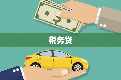 武清税务贷
