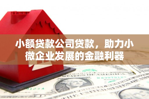 武清小额贷款公司贷款，助力小微企业发展的金融利器