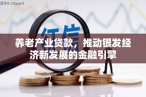 武清养老产业贷款，推动银发经济新发展的金融引擎