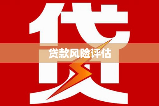 武清贷款风险评估