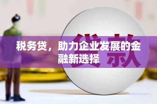 武清税务贷，助力企业发展的金融新选择