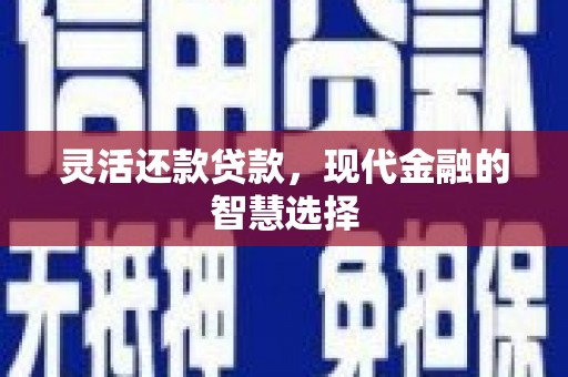 武清灵活还款贷款，现代金融的智慧选择