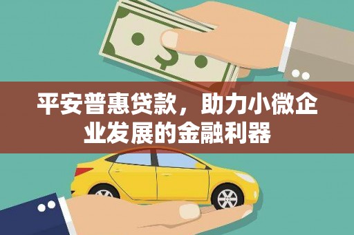 武清平安普惠贷款，助力小微企业发展的金融利器