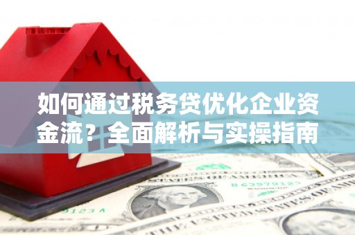 武清如何通过税务贷优化企业资金流？全面解析与实操指南