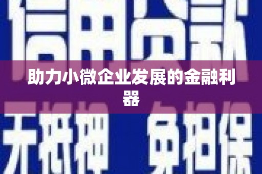 武清助力小微企业发展的金融利器