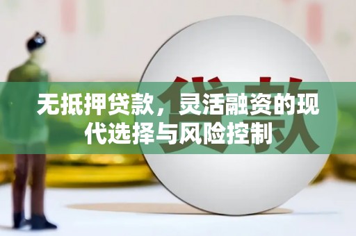 武清无抵押贷款，灵活融资的现代选择与风险控制