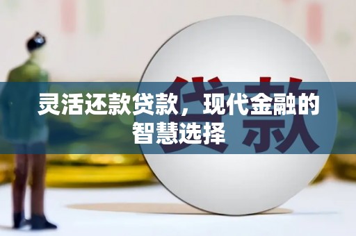 武清灵活还款贷款，现代金融的智慧选择