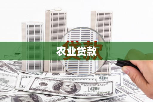 武清农业贷款
