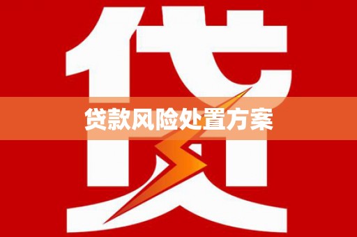 武清贷款风险处置方案