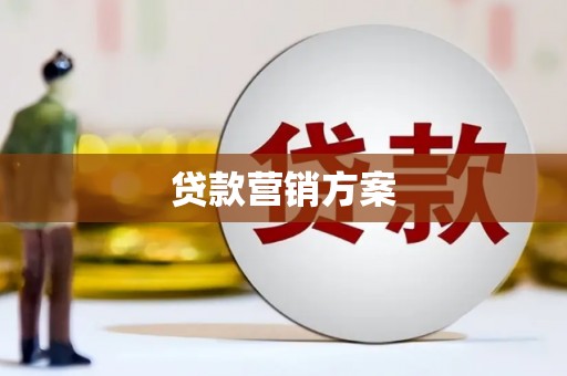 武清贷款营销方案