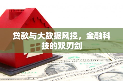 武清贷款与大数据风控，金融科技的双刃剑