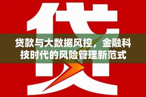 武清贷款与大数据风控，金融科技时代的风险管理新范式