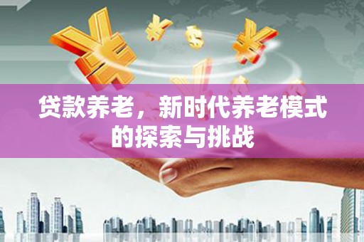 武清贷款养老，新时代养老模式的探索与挑战