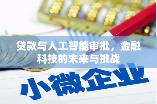 武清贷款与人工智能审批，金融科技的未来与挑战